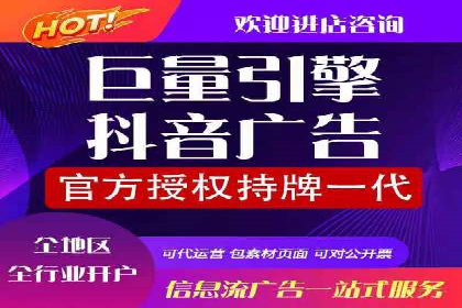 信息流广告投放实战指南：案例解析
